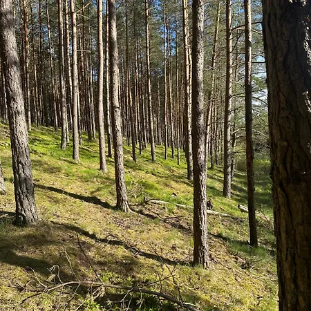 Kormoranowy Zakątek - Nad Jeziorem Jasień Domek alpejski Lupawsko