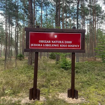 Domek alpejski Kormoranowy Zakątek - Nad Jeziorem Jasień